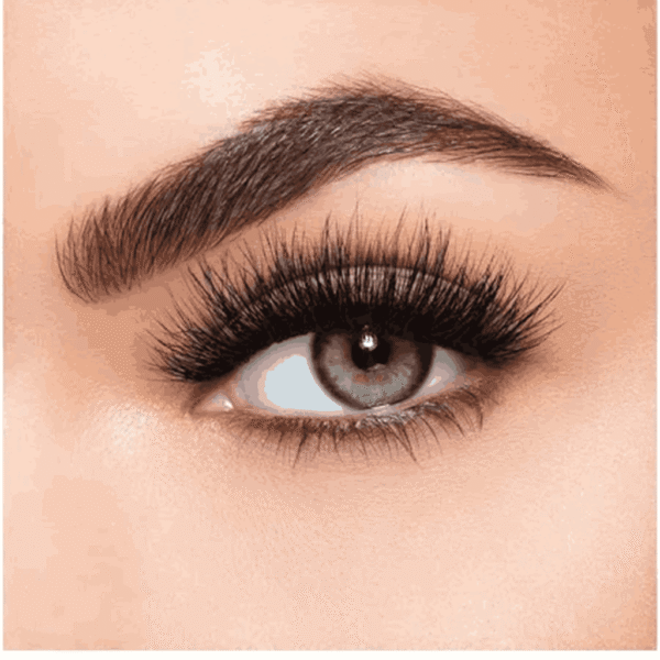 Eye Lashes for Women, Natural Wispy False Eyelashes, Fluffy Volume Strip Fake Lashes, DIY Eyelash Extension Kit for Daily Makeup and Special Occasions (Pack Of 2)