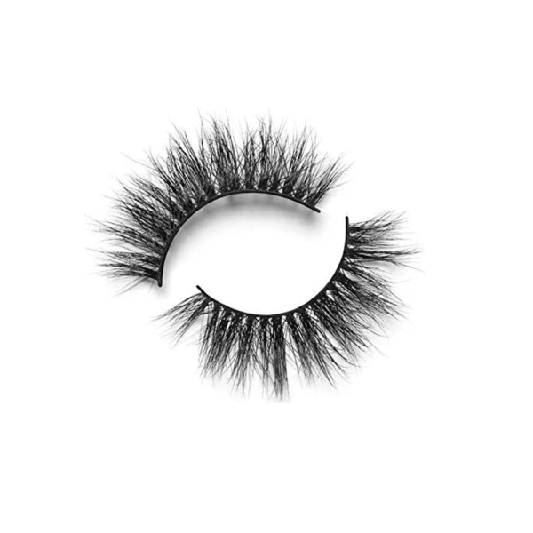 Eye Lashes for Women, Natural Wispy False Eyelashes, Fluffy Volume Strip Fake Lashes, DIY Eyelash Extension Kit for Daily Makeup and Special Occasions (Pack Of 2)